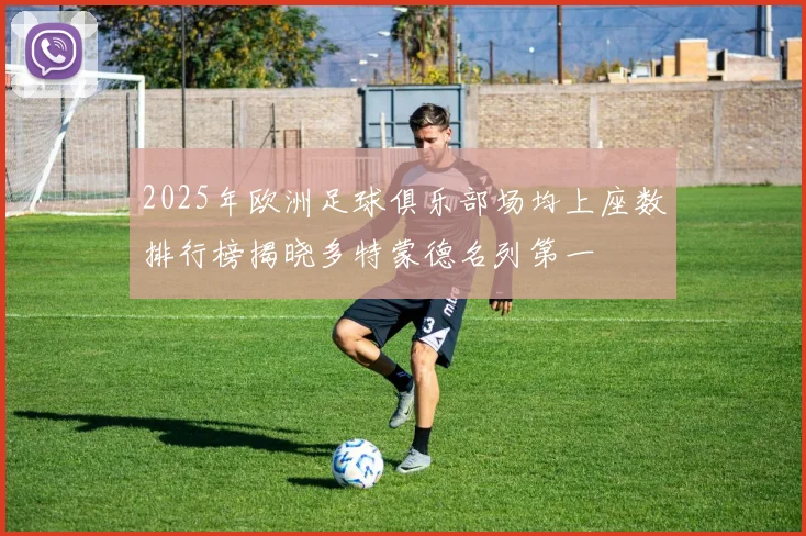 2025年欧洲足球俱乐部场均上座数排行榜揭晓多特蒙德名列第一